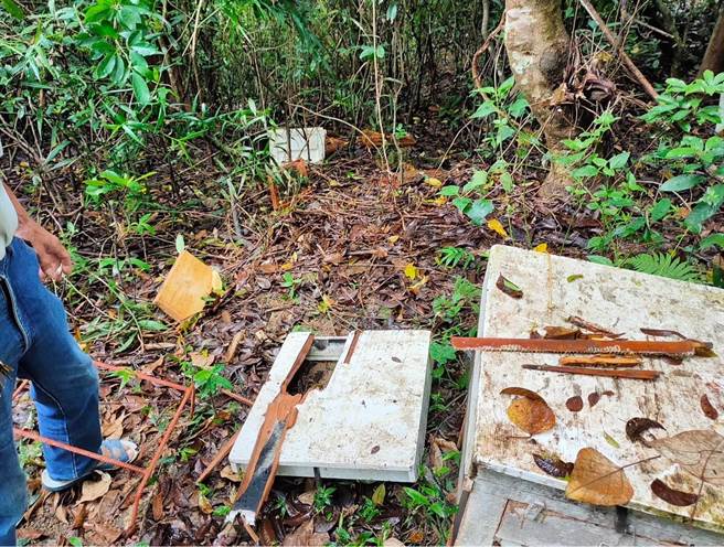 台東建和蜂農6月5日主動通報台灣黑熊出沒，經台東林管處監測資料顯示，台灣黑熊3天內破壞9個蜂箱取食。（台東林管處提供／蕭嘉蕙台東傳真）