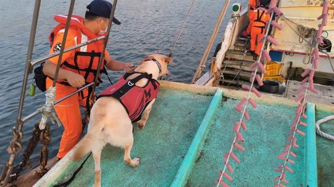 海巡署中部分署第三岸巡隊等單位，於端午前夕實施威力掃蕩。（海巡署提供／孫英哲彰化傳真）