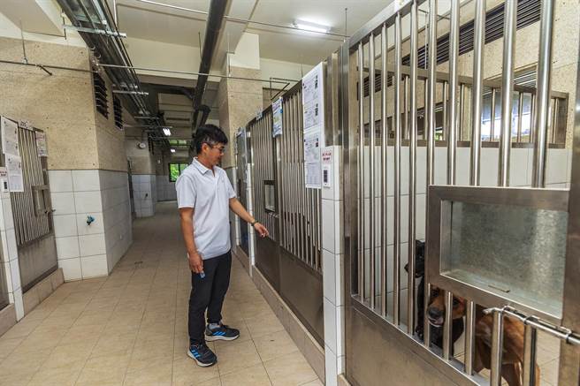 新竹县动物保护教育园区完工，收容栏舍空间加大，并从铁笼升级成为水泥栏舍，最高可收容200只流浪狗。（罗浚滨摄）