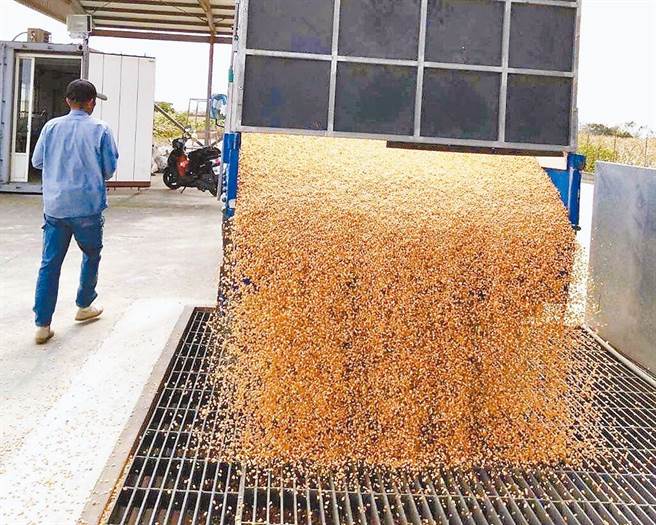 台南市政府农业局说明，当初决议标准全市统一，考量种植硬质玉米的人，大多属于「大专业农」，其种植面积广大，甚至横跨不同行政区。（盐水区农会提供／张毓翎台南传真）