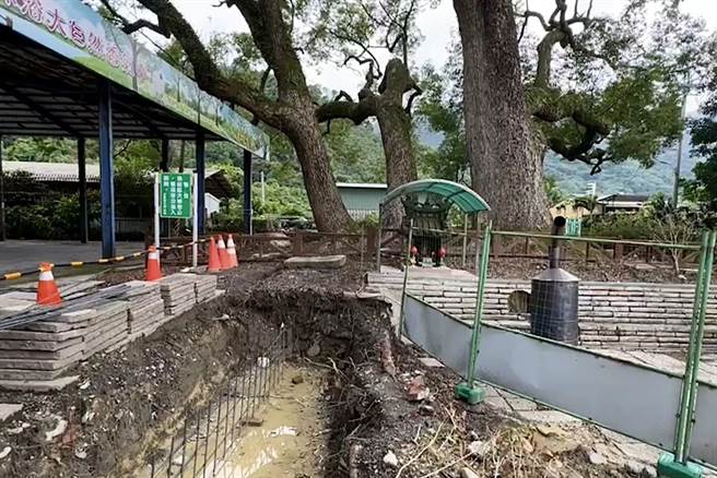 水里乡公所在永兴社区樟树神木旁的公园工程遭县府勒令停工，提出老树保护计画并通过审查才可復工。（民眾提供／杨静茹南投传真）
