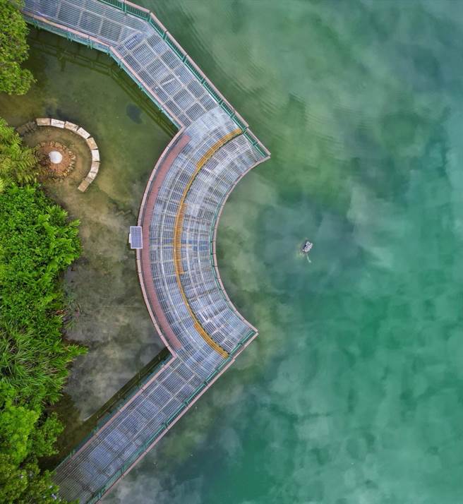 民眾发现日月潭九蛙迭像附近空拍照，彷佛「大鱼吞九蛙」十分有趣，向朋友分享这个有趣视角。（阿正提供／杨静茹南投传真）