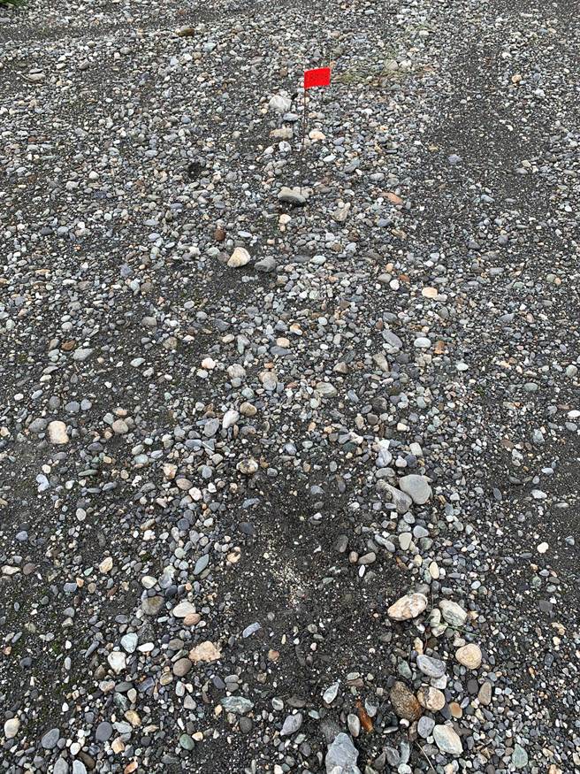 花莲县野鸟学会今年直至6月10日统计发现，花莲立雾溪口累计95巢保育类小燕鸥育雏，没想到昨天再度前往调查时，发现约有50巢的蛋竟凭空消失。（花莲县野鸟学会提供／罗亦晽花莲传真）