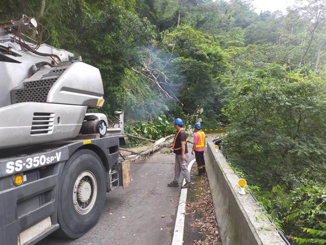 近日梅雨不停，東勢林區管理處15日表示，下雨恐怕還要維持一周，呼籲民眾暫時勿前往山區及步道，以維護自身安全。（東勢林管處提供／潘虹恩台中傳真）