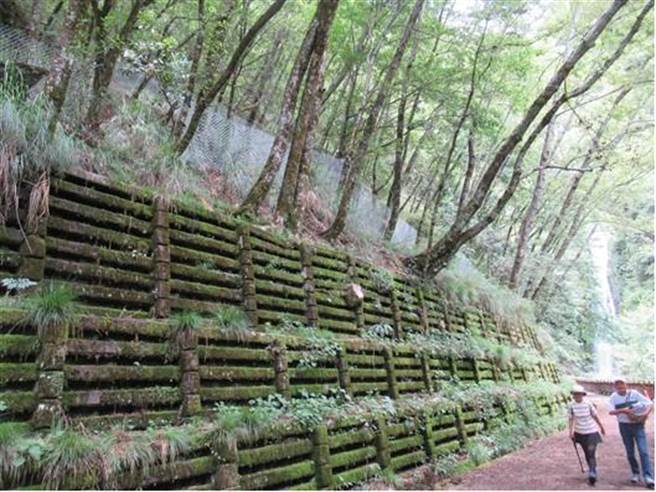 為加強遊憩安全，東勢林管處於武陵國家森林遊樂區桃山步道易落石區域增設攔石網，減緩落石的衝力並阻止掉落。（東勢林管處提供／潘虹恩台中傳真）