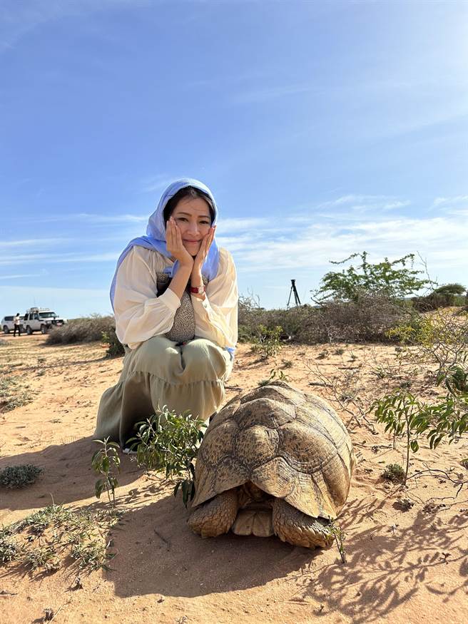 李文仪在索马利兰看到陆龟。（三立提供）