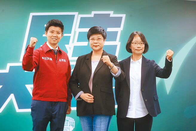 民进党中执会14日通过3个立委艰困选区布局，台北市第6选区（大安）与现任社民党议员苗博雅（左起）合作、新竹市徵召阳明交大科法学院特聘教授林志洁、彰化第3选区徵召作家吴音寧。（杜宜谙摄）