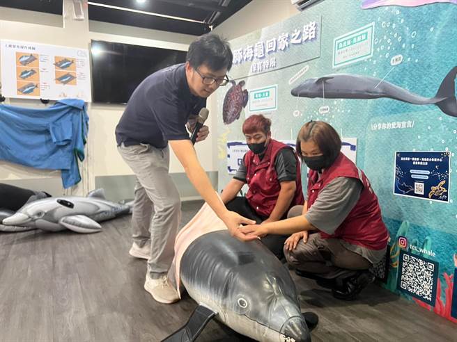 中华鲸豚协会秘书长曾钲琮示范鲸豚救援。（王扬杰摄）