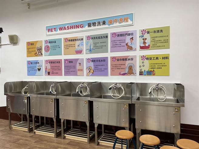 启英高中打造全市唯一符合证照考场标准的宠物美容教室。（蔡明亘摄）