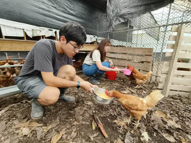 嘉义大学学生透过高教深耕计画，体验农场经营管理。（廖素慧摄）