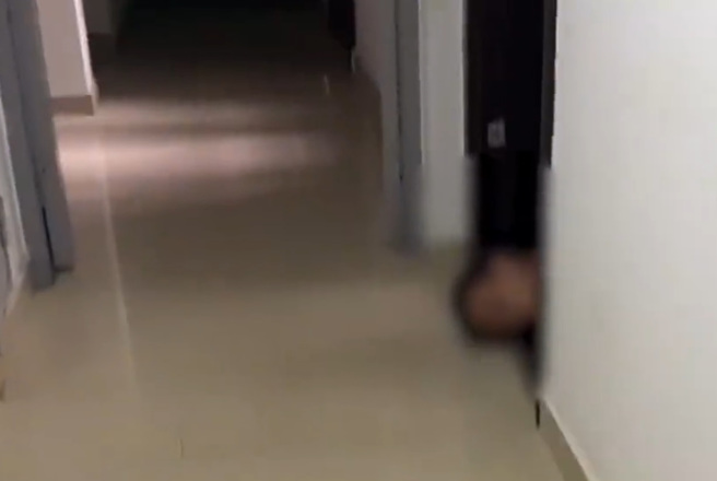 大陆有妙龄女子，每当她要出门，隔壁的邻居大叔就立刻趴地露头偷窥，让她不堪其扰。（翻摄自微博）