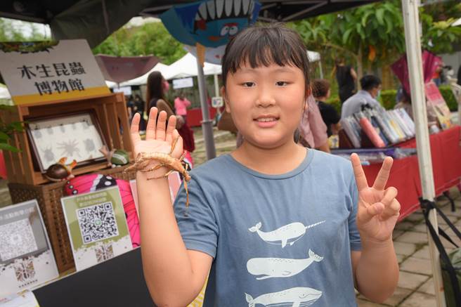 昆虫生态，是环境教育的一环，木生昆虫博物在会场展示少见的大型昆虫，虫子放到手上，马上变成焦点。（南投县政府提供／冯惠宜台中传真）