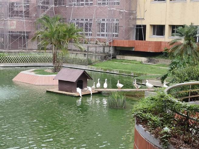 嘉义连日下雨，有助水库蓄水量。（廖素慧摄）