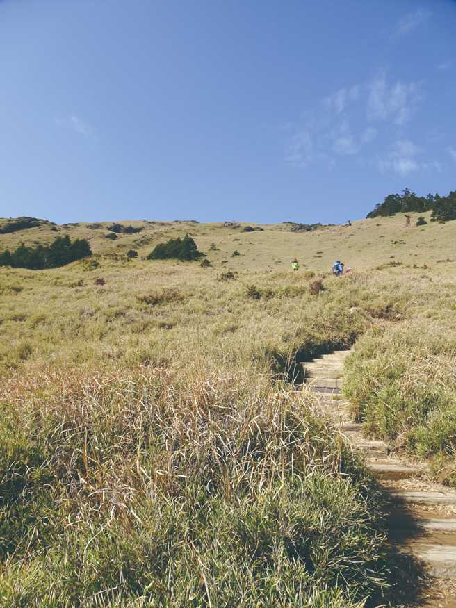 合歡山東峰適合百岳入門，不過因為沿途都是階梯，較少運動的旅人建議使用登山杖輔助。（梁欣芸提供）

