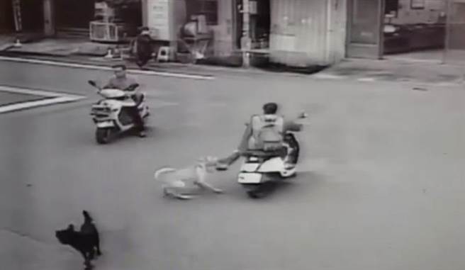 婦人騎車遭犬隻咬到皮開肉綻。(翻攝畫面)