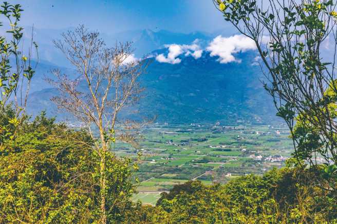 從南側登山口進入步道會經過一片檸檬園，可遠眺花東縱谷。（圖/ 花蓮趣提供）