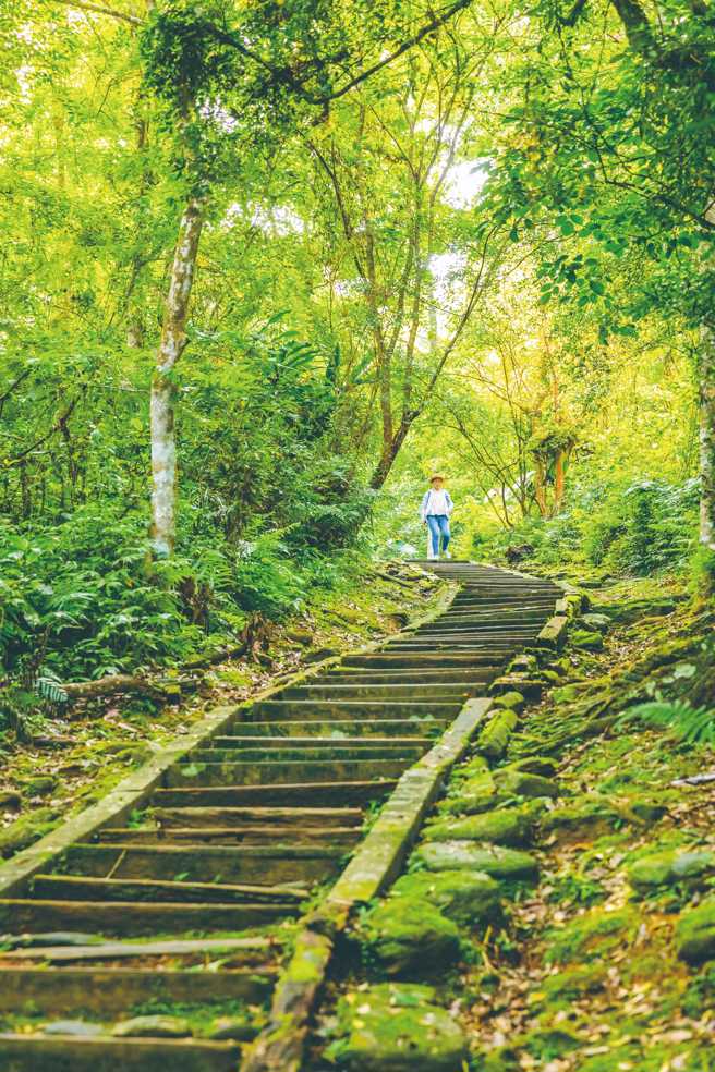 鯉魚山步道群總長約10公里，低海拔林相生態資源豐富。（圖/ 花蓮趣提供）