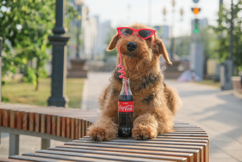 来自美国路易斯安那州的狗狗柔伊（Zoey）舌长12.7公分，比罐装可乐（约11.4公分）还长。（示意图／Shutterstock）(photo:ChinaTimes)