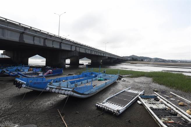 后龙观海大桥与西湖溪桥因为盐害目前改建中。（李京升摄）