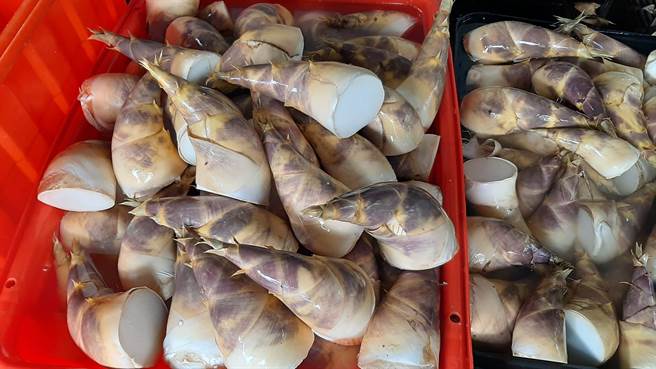 桃园市大溪、復兴区绿竹笋上市，不少笋农在疫情期间培养出稳定客群，接订单出货销量稳定。（王姿怡提供／吕筱蝉桃园传真）。