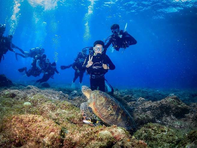 巧遇綠蠵龜的海中畢業典禮，屏東讓學生永生難忘。（摘自周春米臉書）