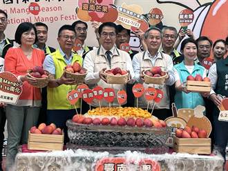 台南國際芒果節開跑 6大產區連5周「芒著饗你」