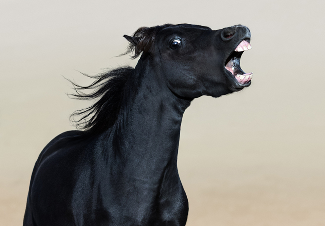 北海道女议员田中久实突然被马头槌，惊悚影片曝光后吓坏一票网友。（示意图／达志影像）