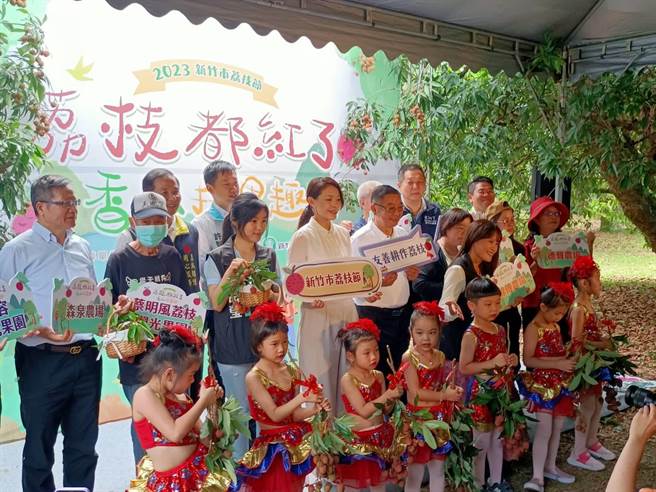 全台最北部的新竹荔枝紅了！新竹市9座荔枝觀光果園即日起陸續開放民眾觀光採果。（陳育賢攝）