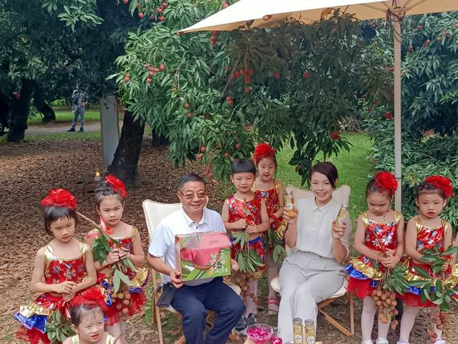 全台最北部的新竹荔枝紅了！新竹市9座荔枝觀光果園即日起陸續開放民眾觀光採果。（陳育賢攝）