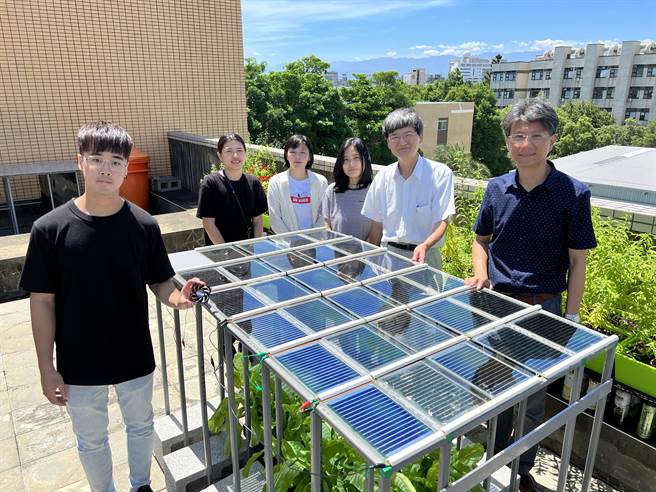阳明交大物理所长孟心飞研究群开发可透光太阳能板，与环工所教授高正忠研究群开发的DIYGreen零废弃循环型屋顶农园合作，成功在环工馆屋顶搭建示范农场。（王惠慧摄）