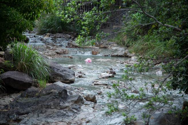 台北市议员陈怡君质疑，北市府对于北投石自然保留区疏于维护与规划，导致当地到处都是垃圾与丛生的杂草，「看在观光客及国人眼里简直是国际笑话。」（陈怡君办公室提供／丁上程台北传真）