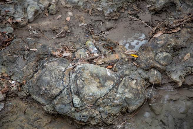 台北市议员陈怡君质疑，北市府对于北投石自然保留区疏于维护与规划，导致当地到处都是垃圾与丛生的杂草，「看在观光客及国人眼里简直是国际笑话。」（陈怡君办公室提供／丁上程台北传真）