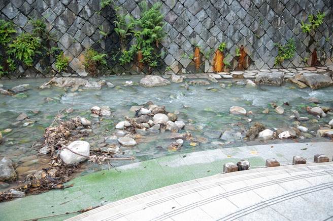 台北市议员陈怡君质疑，北市府对于北投石自然保留区疏于维护与规划，导致当地到处都是垃圾与丛生的杂草，「看在观光客及国人眼里简直是国际笑话。」（陈怡君办公室提供／丁上程台北传真）