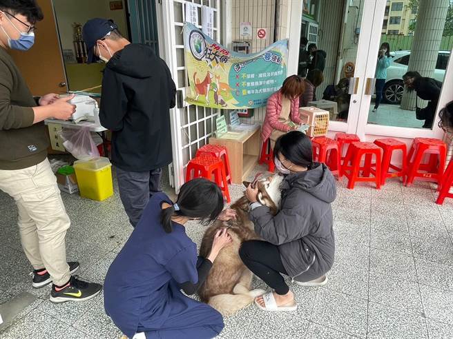 桃园市加强狂犬病防疫，山区野生动物多的復兴、大溪及龙潭区犬猫实施免费狂犬疫苗接种。（吕筱蝉摄）