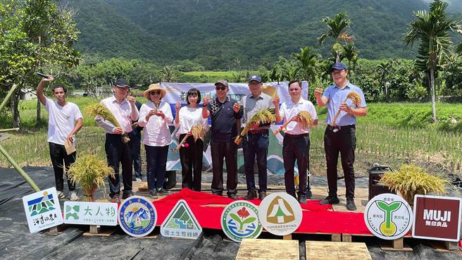 台东林管处今于成功镇都歷部落友善生产田区办理「里山水田生态乐园节」水稻作收穫成果展。（萧嘉蕙摄）