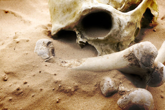 垃圾場驚見長髮骷髏頭 開挖現3千年神廟 屍骨主人命運悲慘