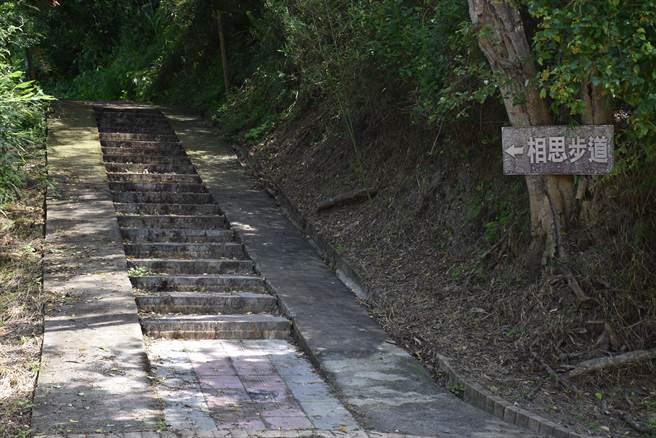 苗栗县苗5线永和山水库环湖道路是重要的交通休憩道路，联结相思步道等休憩步道。（谢明俊摄）