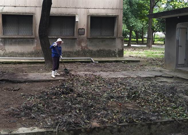 近日空氣潮溼悶熱，蛇類最愛躲在落枝落葉與草叢中。（蘇立吉提供／張朝欣雲林傳真）