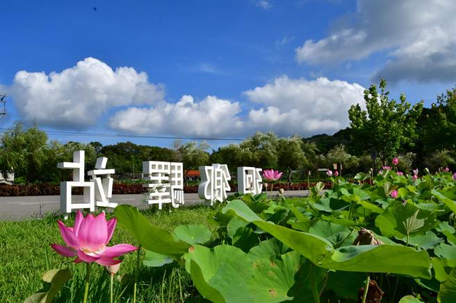 马家庄迴乡驿站荷花盛开。（张麦斯提供／李京升苗栗传真）