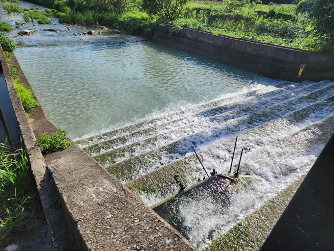 头前溪拦水坝附近河川顏色遭排放乳白废水，环保局追查发现有建商偷排废水。（新竹县府提供／邱立雅竹县传真）