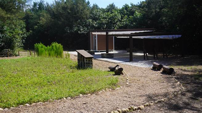 桃园市新屋滨海植物园去年2月起施作第2期改善工程，整修包括步道、座椅、厕所等项目，更进行滨海植物抚育与补植，今年6月20日重新开放。（海管处提供／蔡明亘桃园传真）