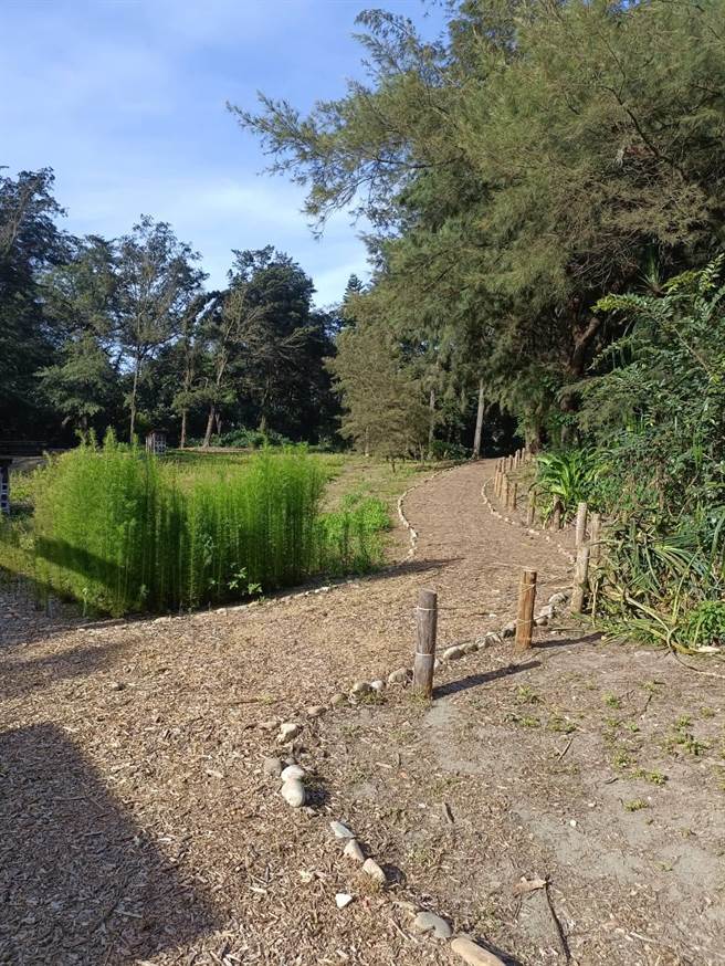 新屋滨海植物园以最少人为干扰及建物方式建置，且无人造光源，避免干扰夜行性动物栖息。（海管处提供／蔡明亘桃园传真）