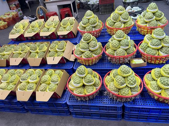 台灣屬於淺碟型市場，鳳梨釋迦和大目釋迦競爭內銷，近2年大目釋迦受到波及影響，收入大幅下滑。（民眾提供／蕭嘉蕙台東傳真）