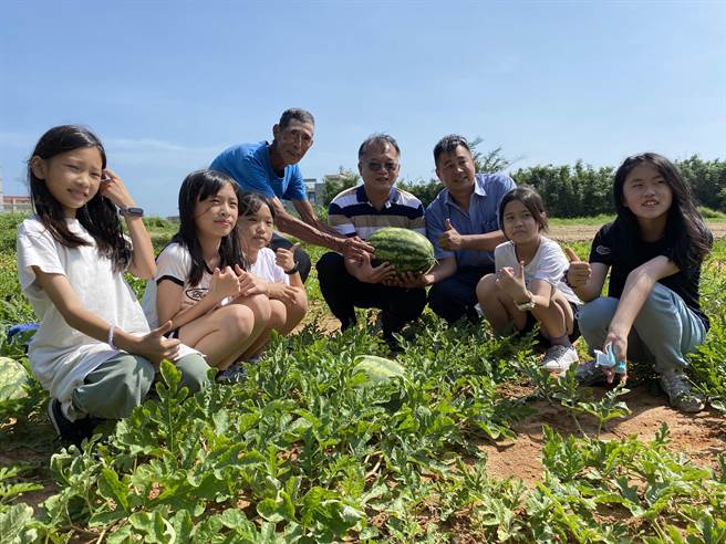 邻近新前墩社区的柏村、多年与安澜3所国小师生，前往瓜田摘瓜抢先品嚐美味西瓜。（于家麒摄）