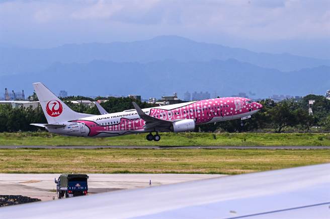 端午節連續假期第一天，日本越洋航空鯨鯊彩繪機首航桃園機場，吸引不少航空迷前往朝聖拍攝，桃紅色鯨鯊彩繪機身搭配著櫻花點綴的圖樣，絕對是航空迷們必須收藏。（陳麒全攝）