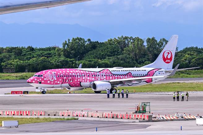 端午節連續假期第一天，日本越洋航空鯨鯊彩繪機首航桃園機場，吸引不少航空迷前往朝聖拍攝，桃紅色鯨鯊彩繪機身搭配著櫻花點綴的圖樣，絕對是航空迷們必須收藏。（陳麒全攝）