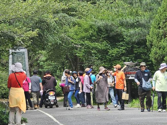 端午連假首日，各地民眾紛紛出遊，武陵農場繡球花正盛，吸引不少民眾前往賞花。（武陵農場提供／潘虹恩台中傳真）