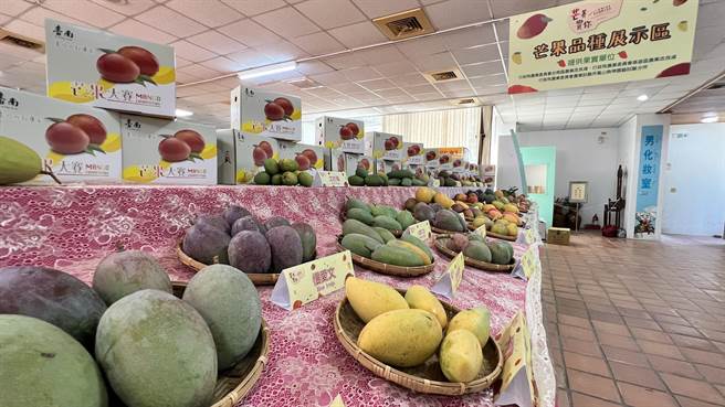 會場周邊有芒果各種品種的介紹。（張毓翎攝）