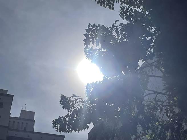 高雄今日艷陽高照。（洪靖宜攝）