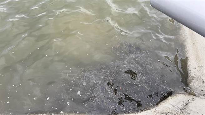 雲林縣台西地區魚塭發現落塵，漁民質疑是汙染物造成文蛤死亡。（陳文求提供／張朝欣雲林傳真）